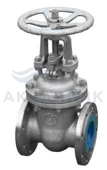 Задвижка 30с41нж Китай