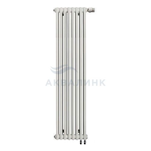 Радиатор Rifar TUBOG TUB 2047 D1 RAL 7024-M, нижний без термоклапана